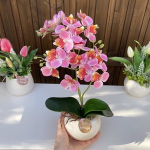 Nőnapi Orchidea asztaldísz - otthon & életmód - virágdekoráció - virágdíszek - virágdísz kaspóban - Meska.hu