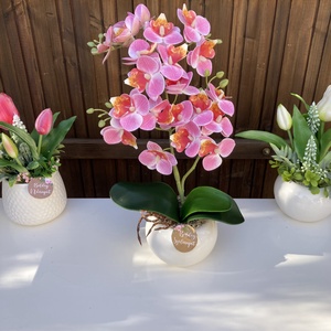 Nőnapi Orchidea asztaldísz, Otthon & Életmód, Virágdekoráció, Virágdíszek, Virágdísz kaspóban, Virágkötés, MESKA