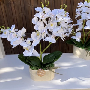 Nőnapi Orchidea asztaldísz - otthon & életmód - virágdekoráció - virágdíszek - virágdísz kaspóban - Meska.hu