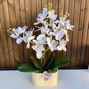 Anyák napi Orchidea asztaldísz, Otthon & Életmód, Virágdekoráció, Virágdíszek, Virágdísz kaspóban, Virágkötés, MESKA