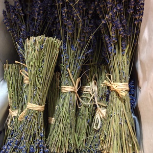 Levendula csokor, szárazvirág csokor - otthon & életmód - dekoráció - virágdísz és tartó - csokor & virágdísz - Meska.hu