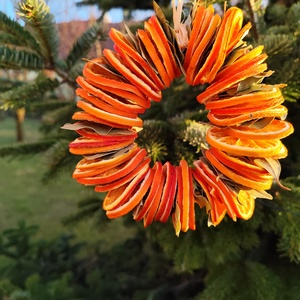 Narancs - babrlevl koszorú , dísz  - karácsony - karácsonyi lakásdekoráció - karácsonyi lakásdíszek - Meska.hu