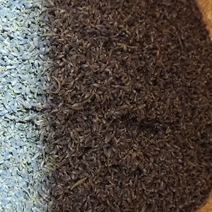 Morzsolt levendula - levendula virág - kellékek & szerszámok - vegyes alapanyag - egyéb alapanyag - Meska.hu