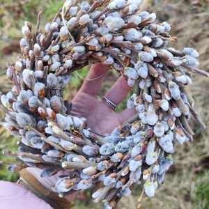 Barka koszorú, szárazvirág kopogtató  - otthon & életmód - dekoráció - ajtó- és ablak dekoráció - ajtódísz & kopogtató - Meska.hu