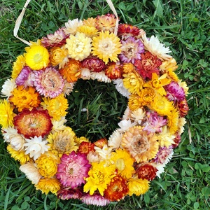 Szárazvirág kopogtató, tavaszi koszorú, Otthon & Életmód, Dekoráció, Ajtó- és ablak dekoráció, Ajtódísz & Kopogtató, Virágkötés, Kb 21-22 cm külső átmérőjű virág koszorú. , MESKA