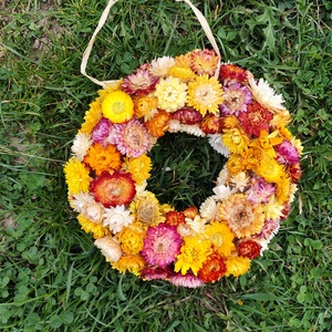 Szárazvirág kopogtató, tavaszi koszorú - otthon & életmód - dekoráció - ajtó- és ablak dekoráció - ajtódísz & kopogtató - Meska.hu