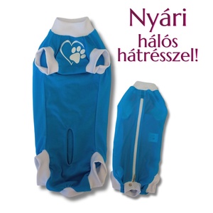 Nyári műtét - ivartalanítás utáni kutyaruha fiúknak - kék - Meska.hu