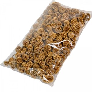 Casuarina 17 dkg - metál arany, Kellékek & szerszámok, Dekorációs kellékek, Termések, terméscsomagok, , MESKA