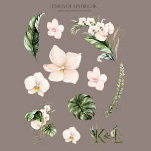 Matrica vendégkönyvhöz � Jungle, monstrera matricák esküvőre � esküvői matricák � jókívánságok - esküvő - emlék & ajándék - vendégkönyv - Meska.hu