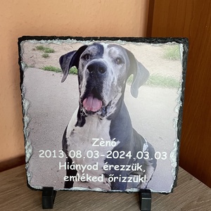 Házi kedvenc emlék tábla - Meska.hu