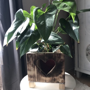 Virágkaspó, Otthon & Életmód, Dekoráció, Virágdísz és tartó, Kaspó, Virágtartó, Famegmunkálás, MESKA