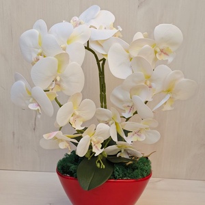 2 szálas orchidea, Otthon & Életmód, Dekoráció, Asztal és polc dekoráció, Asztaldísz, Virágkötés, MESKA