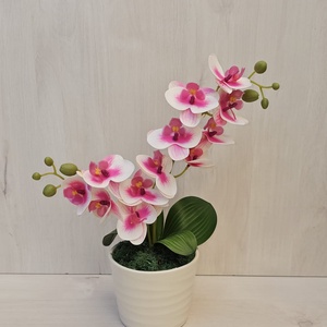 Orchidea kaspóban, Otthon & Lakás, Dekoráció, Asztal és polc dekoráció, Asztaldísz, Virágkötés, MESKA