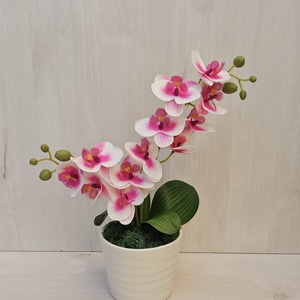 Orchidea kaspóban - Meska.hu