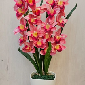 Cymbidium orchidea kaspóban, Otthon & Életmód, Dekoráció, Asztal és polc dekoráció, Asztaldísz, Virágkötés, MESKA