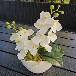 Orchidea ovális kerámia kaspóban - Meska.hu