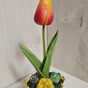 Tulipán fém vödörben - Meska.hu