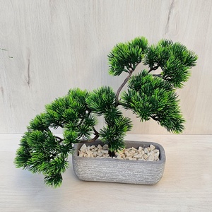 Bonsai fa beton kaspóban, Otthon & Életmód, Dekoráció, Asztal és polc dekoráció, Asztaldísz, Virágkötés, MESKA