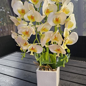 3 szálas orchidea, Otthon & Életmód, Dekoráció, Asztal és polc dekoráció, Asztaldísz, Virágkötés, MESKA