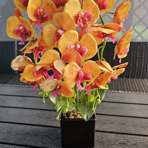 3 szálas orchidea, Otthon & Életmód, Dekoráció, Asztal és polc dekoráció, Asztaldísz, Virágkötés, MESKA