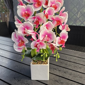 3 szálas orchidea, Otthon & Életmód, Dekoráció, Asztal és polc dekoráció, Asztaldísz, Virágkötés, MESKA