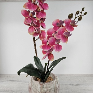 2 szálas orchidea - Meska.hu