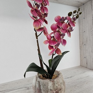 2 szálas orchidea - otthon & életmód - virágdekoráció - virágdíszek - virágdísz kaspóban - Meska.hu
