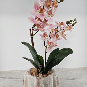 2 szálas orchidea - Meska.hu