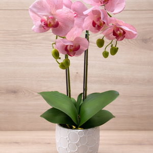 Élethű gumi orchidea - Meska.hu