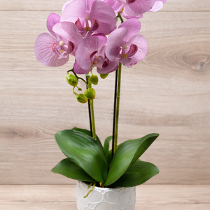 Élethű gumi orchidea - otthon & életmód - virágdekoráció - virágdíszek - asztali virágdísz - Meska.hu