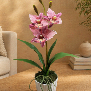 Élethű orchidea kaspóban, Otthon & Életmód, Virágdekoráció, Virágdíszek, Asztali virágdísz, Virágkötés, MESKA