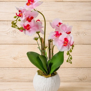 Élethű orchidea kaspóban, Otthon & Életmód, Virágdekoráció, Virágdíszek, Asztali virágdísz, Mindenmás, MESKA