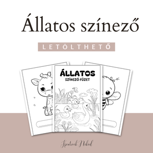 Színező fiúknak, lányoknak - játék & sport - készségfejlesztő és logikai játék - szín és formaválogató játékok - Meska.hu