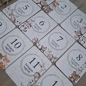 13db-os Baba mérföldkő kártya, babakártya kártyatartóval - baba - mama - babafotózás - baba mérföldkő kártyák - Meska.hu