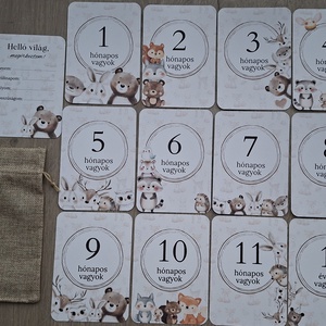 13db-os Baba mérföldkő kártya, babakártya kártyatartóval, Baba - mama, Babafotózás, Baba mérföldkő kártyák, Fotó, grafika, rajz, illusztráció, MESKA