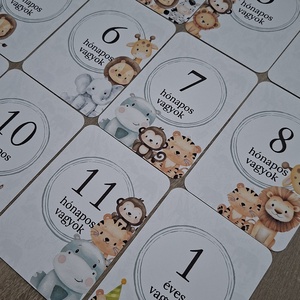 13db-os Baba mérföldkő kártya, babakártya kártyatartóval - baba - mama - babafotózás - baba mérföldkő kártyák - Meska.hu