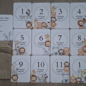 13db-os Baba mérföldkő kártya, babakártya kártyatartóval, Baba - mama, Babafotózás, Baba mérföldkő kártyák, Fotó, grafika, rajz, illusztráció, MESKA