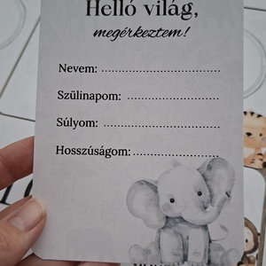 13db-os Baba mérföldkő kártya, babakártya kártyatartóval - baba - mama - babafotózás - baba mérföldkő kártyák - Meska.hu