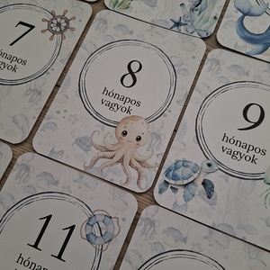 13db-os Baba mérföldkő kártya, babakártya kártyatartóval - baba - mama - babafotózás - baba mérföldkő kártyák - Meska.hu