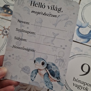 13db-os Baba mérföldkő kártya, babakártya kártyatartóval - baba - mama - babafotózás - baba mérföldkő kártyák - Meska.hu