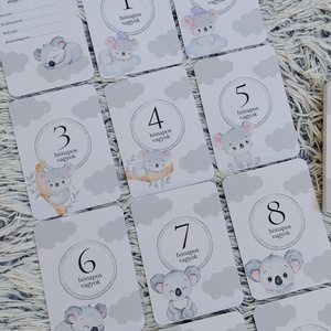 13db-os Baba mérföldkő kártya, babakártya kártyatartóval, Baba - mama, Babafotózás, Baba mérföldkő kártyák, Fotó, grafika, rajz, illusztráció, MESKA