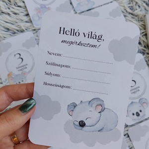 13db-os Baba mérföldkő kártya, babakártya kártyatartóval - baba - mama - babafotózás - baba mérföldkő kártyák - Meska.hu