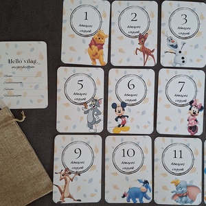 13db-os Baba mérföldkő kártya, babakártya kártyatartóval, Baba - mama, Babafotózás, Baba mérföldkő kártyák, Fotó, grafika, rajz, illusztráció, MESKA