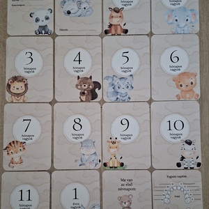 16db-os Baba mérföldkő kártya, babakártya kártyatartó szütyővel - baba - mama - babafotózás - baba mérföldkő kártyák - Meska.hu
