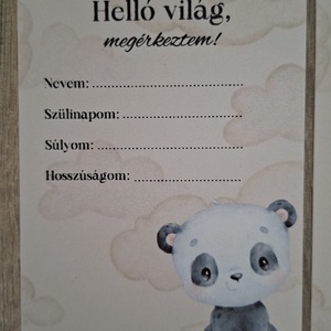 16db-os Baba mérföldkő kártya, babakártya kártyatartó szütyővel - baba - mama - babafotózás - baba mérföldkő kártyák - Meska.hu