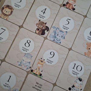 16db-os Baba mérföldkő kártya, babakártya kártyatartó szütyővel, Baba - mama, Babafotózás, Baba mérföldkő kártyák, Fotó, grafika, rajz, illusztráció, MESKA