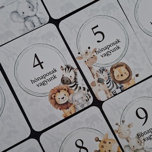 Baba mérföldkő kártya ikreknek, babakártya kártyatartóval - baba - mama - babafotózás - baba mérföldkő kártyák - Meska.hu