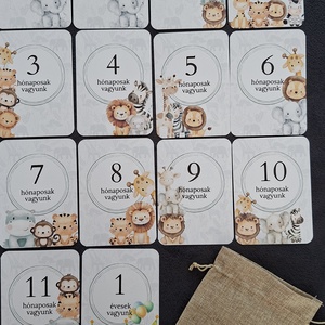 Baba mérföldkő kártya ikreknek, babakártya kártyatartóval, Baba - mama, Babafotózás, Baba mérföldkő kártyák, Fotó, grafika, rajz, illusztráció, MESKA