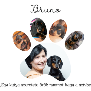 Egyedi kutyás fotókép saját fotókból - DIGITÁLIS - művészet - grafika & illusztráció - digitális - Meska.hu