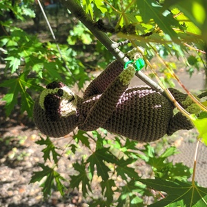 Lajhár Lali, amigurumi - játék & sport - plüssállat & játékfigura - más figura - Meska.hu Lajhár Lali, amigurumi - játék & sport - plüssállat & játékfigura - más figura - Meska.hu